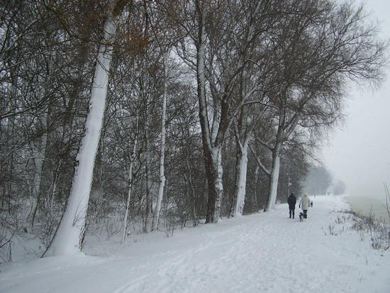 Hoornsneeuw Julianapark 800_4814.jpg