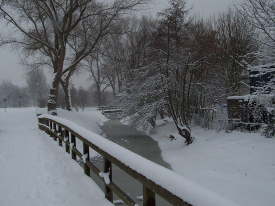 Hoornsneeuw Julianapark 830_4828.jpg