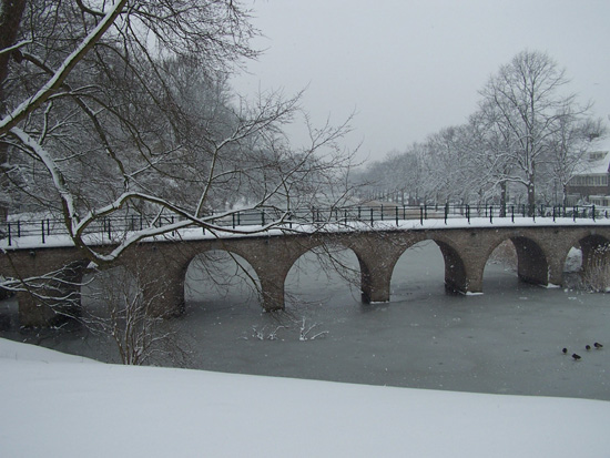 Hoornsneeuw Draafsingel 850_4835.jpg