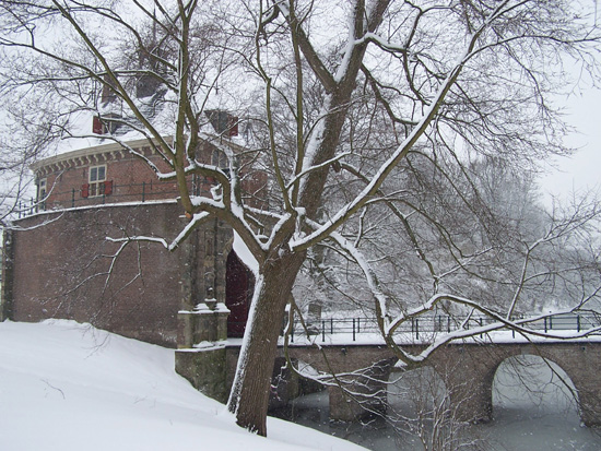 Hoornsneeuw Draafsingel 860_4836.jpg