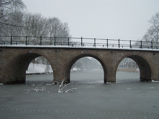 Hoornsneeuw Draafsingel 870_4841.jpg