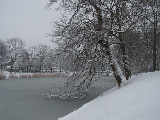 Hoornsneeuw Draafsingel 880_4843.jpg