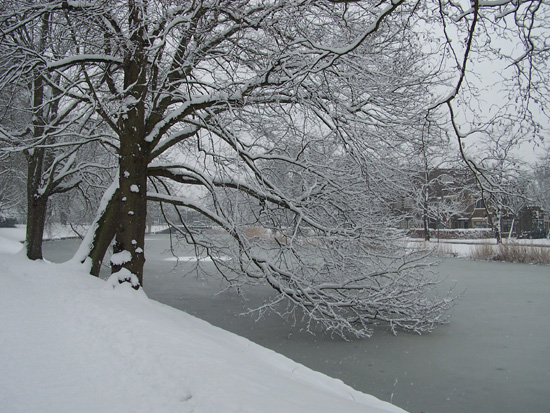 Hoornsneeuw Draafsingel 890_4845.jpg