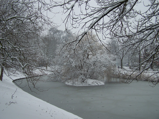 Hoornsneeuw Draafsingel 910_4848.jpg