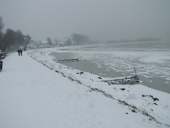 Hoornsneeuw Westerdijk 920_4854.jpg