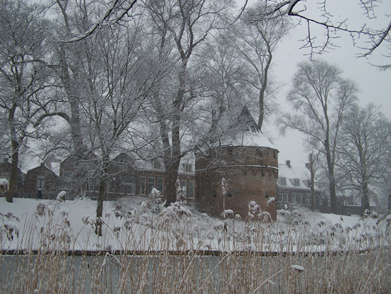 Hoornsneeuw Draafsingel 930_4857.jpg