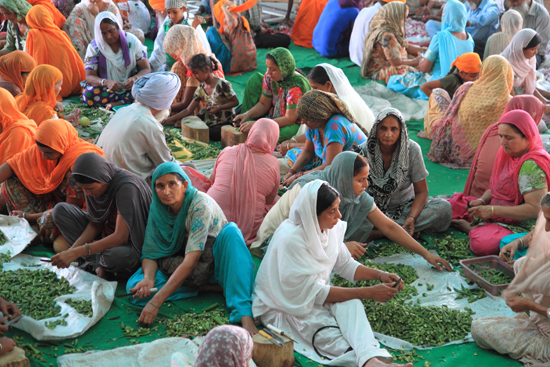 Amritsar1 Het massaal voorbereiden van de groenten<br><br> 0190-Amritsar-Gouden-Sikh-tempel-2487.jpg