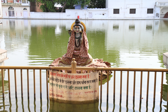 Amritsar2 Shiva in de Durgiana tempelvijver <br><br> 0300-Amritsar-Durgiana-tempel-2541.jpg