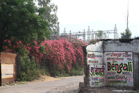 Pahalgam1 <br><br> 0530-Naar-Pahalgam-2861.jpg