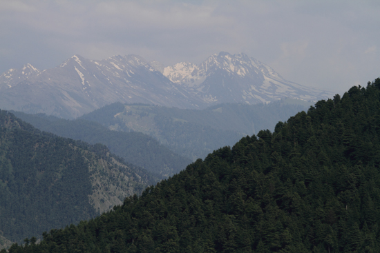 Pahalgam1 De eerste besneeuwde bergtoppen bij het bereiken van de Kashmir vallei<br><br> 0610-Naar-Pahalgam-2914.jpg