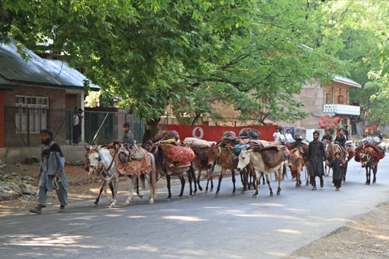 Pahalgam2 Nomaden in Pahalgam<br><br> 0640-Pahalgam-Kashmir-2934.jpg