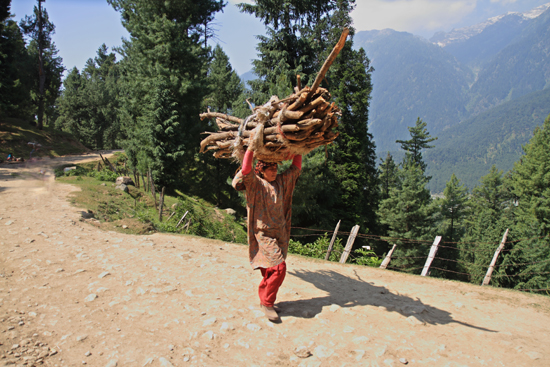 Pahalgam2 Pfff�Respect !<br><br> 0660-Pahalgam-Kashmir-2964.jpg