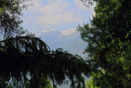 Pahalgam2 Onze eerste bergwandeling om alvast te wennen aan de hoogte<br><br> 0680-Pahalgam-Kashmir-2971.jpg