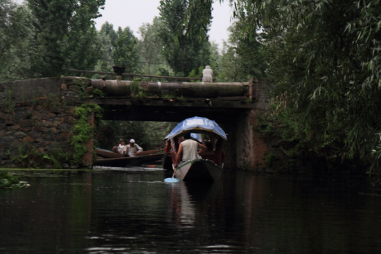 Srinagar1 Vroeg uit de veren: boottocht naar de drijvende markt om 5 uur in de ochtend<br><br> 0880-Nagin-Lake-Srinagar-Kashmir-3177.jpg