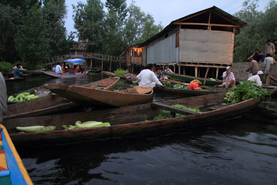 Srinagar1 De eerste boten met allerlei groenten op de drijvende markt <br><br> 0890-Nagin-Lake-Srinagar-Kashmir-3180.jpg