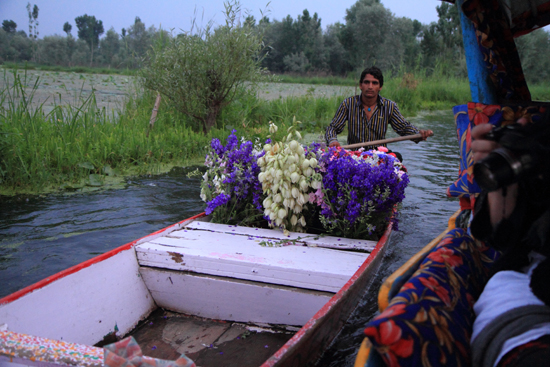 Srinagar1 Bloemenpraam<br><br> 0900-Nagin-Lake-Srinagar-Kashmir-3192.jpg