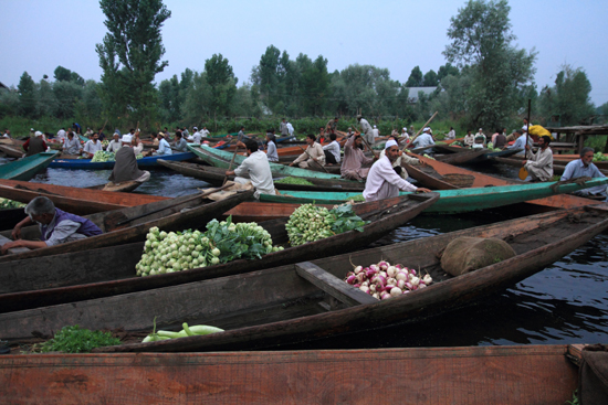 Srinagar1 Een drukte van belang - erg leuk om te zien <br><br> 0940-Nagin-Lake-Srinagar-Kashmir-3219.jpg