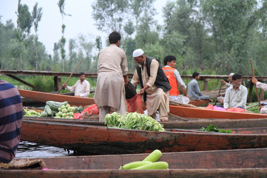 Srinagar1 De koop is gesloten <br><br> 0950-Nagin-Lake-Srinagar-Kashmir-3228.jpg