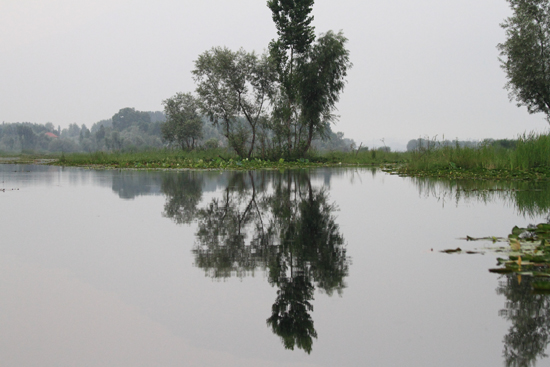 Srinagar1 Weer terug naar de woonboot <br><br> 0980-Nagin-Lake-Srinagar-Kashmir-3258.jpg