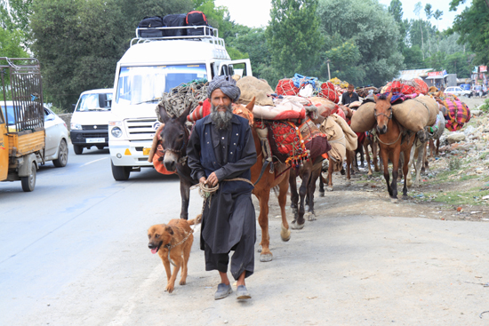 Sonamarg Nomaden<br><br> 1430-Sonamarg-Kashmir-3582.jpg