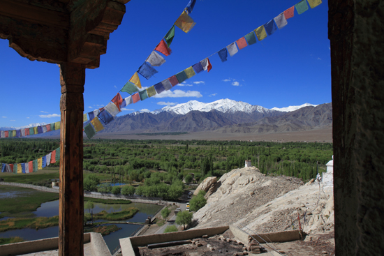 Shey De kloosters zijn altijd op mooie locaties gebouwd<br><br> 2880-Shey-klooster-Ladakh-4647.jpg