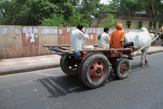 Ladakh-Delhi <br><br> 3860-Delhi-streetlife-5124.jpg