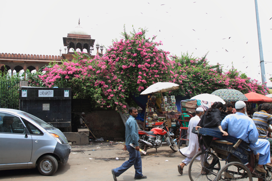 Ladakh-Delhi <br><br> 4040-Delhi-streetlife-5190.jpg