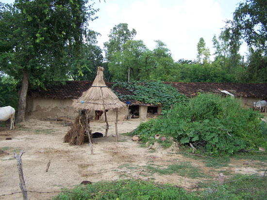 Naarvaranasi Boerderijtje met stallen 100_4179.jpg