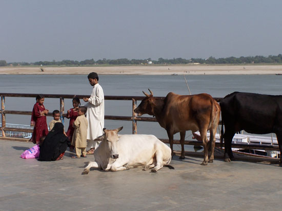 Varanasi1  100_4326.jpg