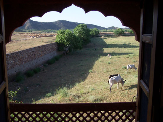 Pushkar Uitzicht vanuit onze slaapkamer in bedevaartplaats Pushkar Bedvaartplaats-Pushkar-India_3509.jpg