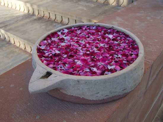 Pushkar  Bloemen-ingang-hotel-Pushkar_3516.jpg