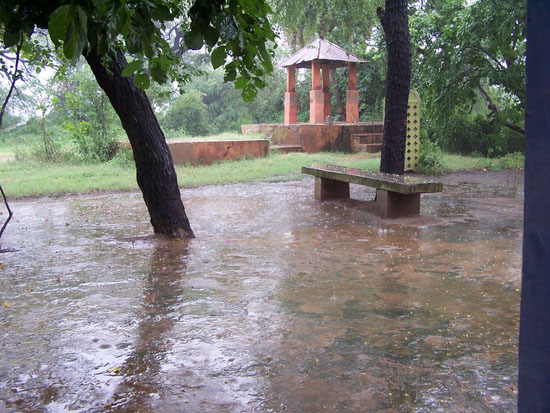 Bharatpur Korte maar hevige moessonbui, even schuilen in tempel Moessonregen-Keoladeo-park-Bharatpur_3789.jpg