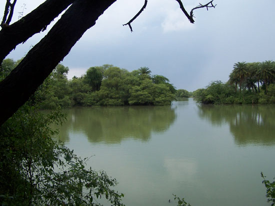 Bharatpur Keoladeo vogelpark - mooi natuurpark Natuurschoon-Keoladeo-Park-Bharatpur_3792.jpg