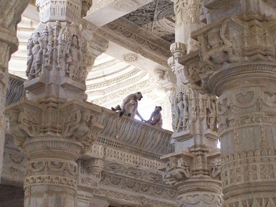 Udaipur Perfekte schutkleur Ranakpur-Adinath-Jain-Tempel_3308.jpg
