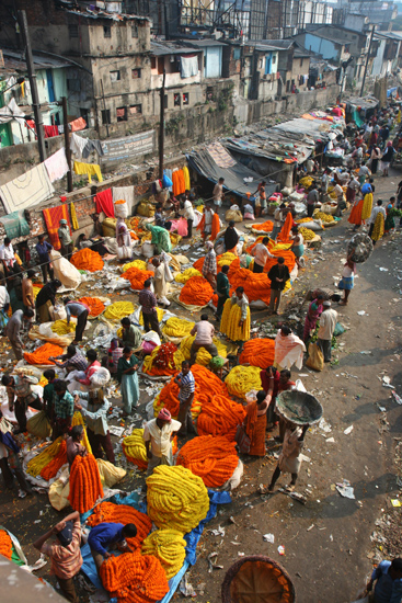 Kolkata1 Colourful and fragrant Mullik Ghat flower market Kleurrijke en geurige Mullik Ghat bloemenmarkt 1540_2977.jpg