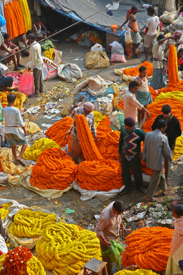 Kolkata1 Mullik Ghat flower market Mullik Ghat bloemenmarkt 1550_2980.jpg