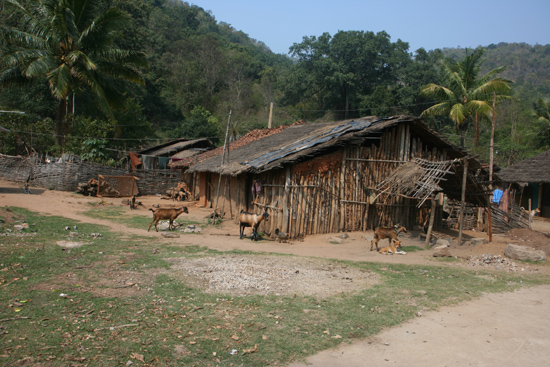 Adivasi-Tour2 One of the small and very poor Adivasi - villages Een van de vele kleine en zeer armoedige Adivasi - dorpjes 2230_4505.jpg