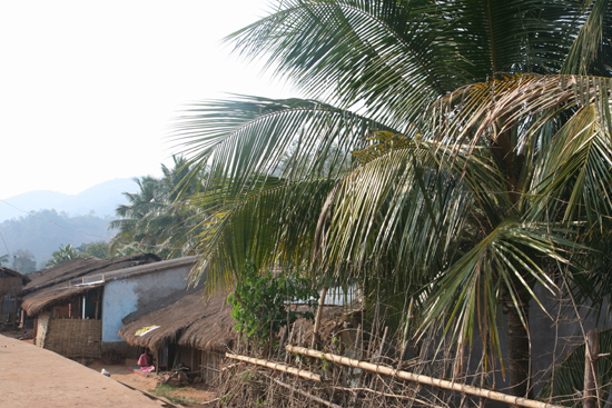 Adivasi-Tour2   2340_4572.jpg