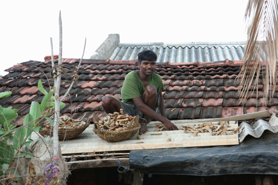 Adivasi-Tour2 Fruit on roofs of asbest....  Etenswaar wordt te drogen gelegd op asbest-golfplaten...Niet echt gezond..  2360_4603.jpg