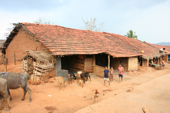 Adivasi-Tour2   2380_4613.jpg