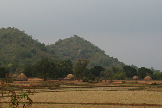 Adivasi-Tour2   2430_4652.jpg