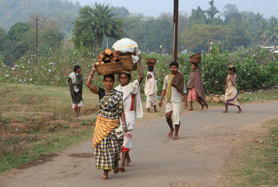 Adivasi-Tour3 Adivasi - tribes walking from the hillstations to the weekly market in Bissam Cuttack Bissam Cuttack 2440_4682.jpg