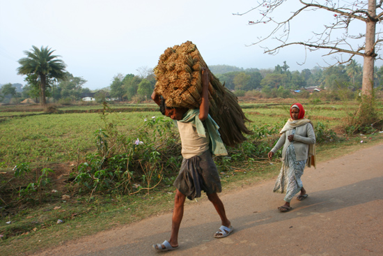 Adivasi-Tour3   2450_4690.jpg