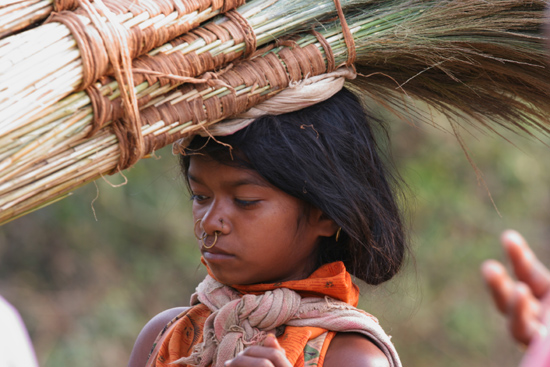 Adivasi-Tour3  Alle koopwaar wordt lopend vanuit de heuvels aangevoerd,en veelal door de dames 2470_4705.jpg