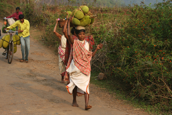 Adivasi-Tour3   2490_4710.jpg