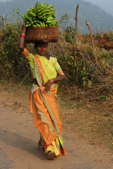 Adivasi-Tour3   2500_4713.jpg