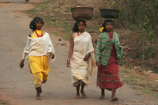 Adivasi-Tour3   2520_4761.jpg