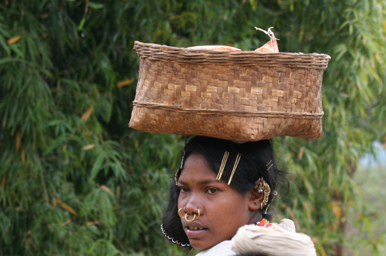 Adivasi-Tour3   2530_4769.jpg