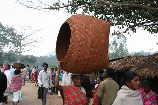 Adivasi-Tour3 Enormous braided basket Enorm grote gevlochten mand 2570_4805.jpg