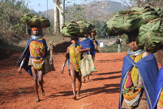 Adivasi-Tour5 Bonda women on the way to the weekly market in Sogura Bonda-vrouwen onderweg naar de weekmarkt in Sogura 2730_4964.jpg